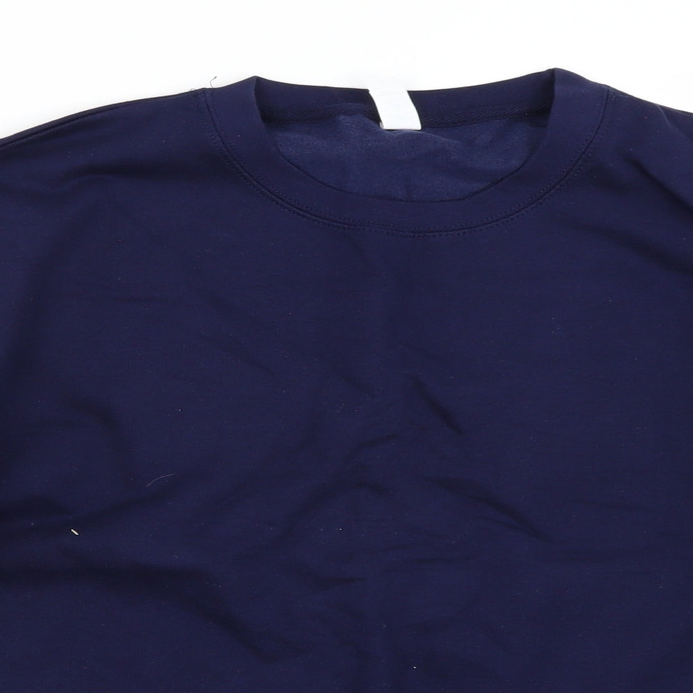 Allhoods Mens Blue   Pullover Jumper Size L