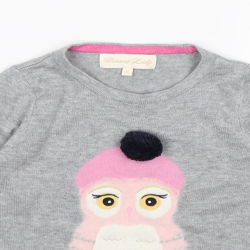 desert lily Girls Grey  Knit Pullover Jumper Size 5 Years  - winter penguin