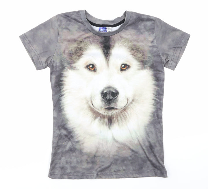miss go Boys Grey   Basic T-Shirt Size S