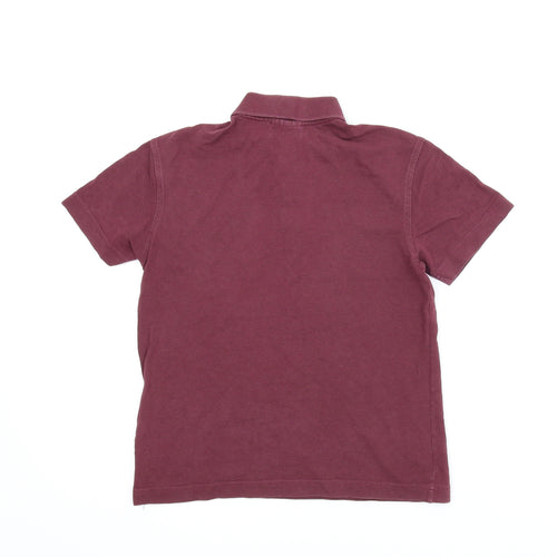Lacoste Boys Purple   Basic Polo Size 10 Years
