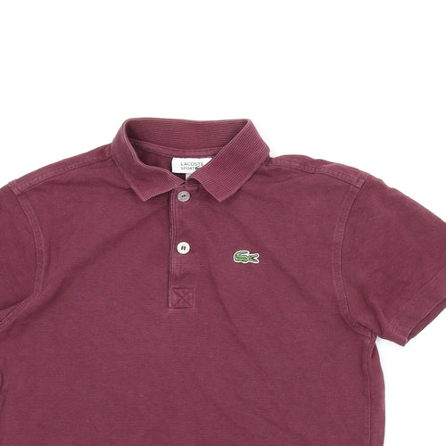 Lacoste Boys Purple   Basic Polo Size 10 Years