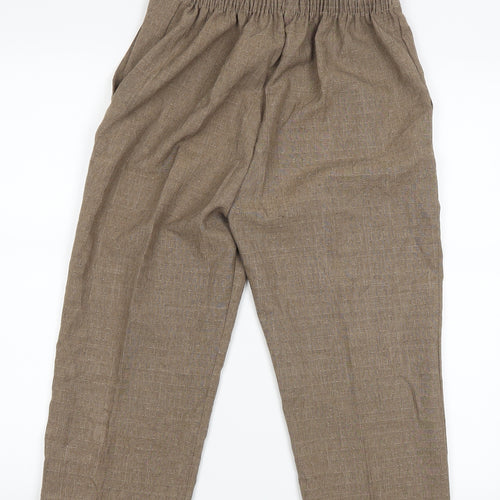 Preworn Womens Brown   Mom Shorts Size 26 in