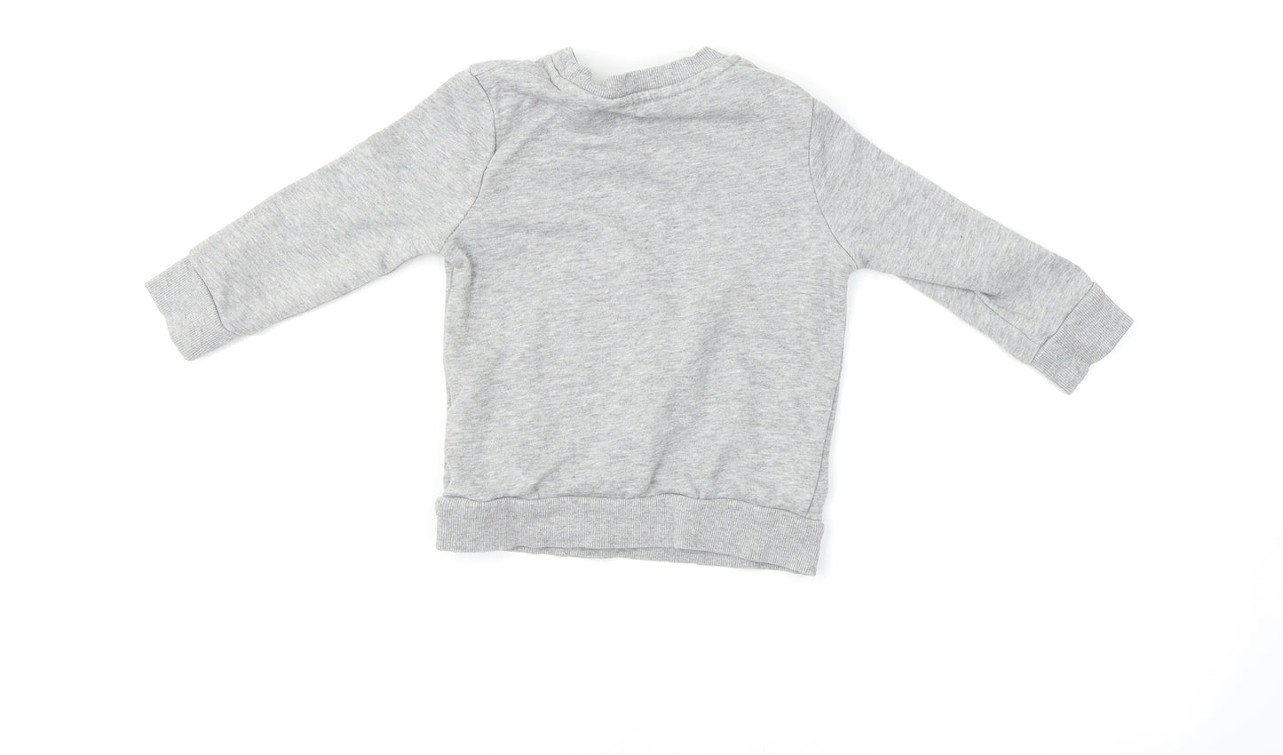 George Boys Grey   Pullover Jumper Size 2-3 Years  - Dinosaur