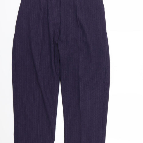 Preworn Womens Purple Striped Rayon Trousers  Size 34 in L24 in