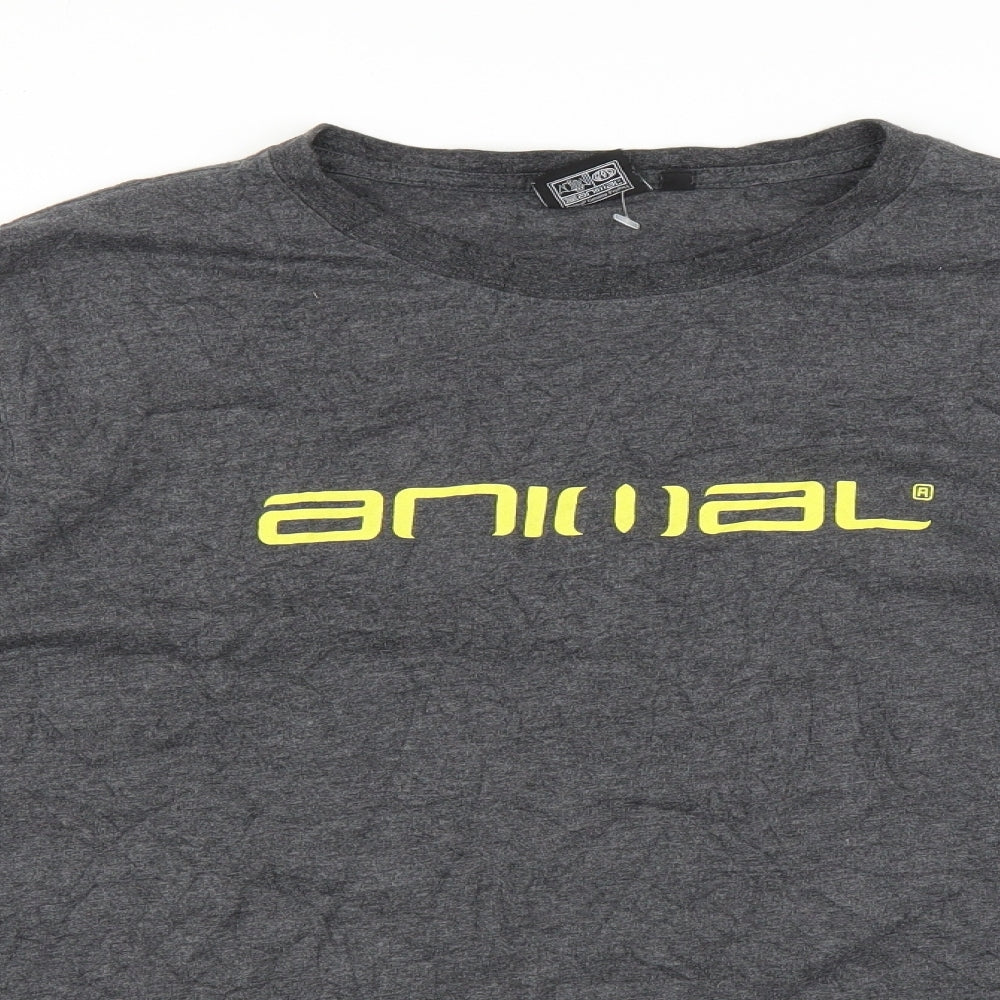 Animal Mens Grey    T-Shirt Size XL