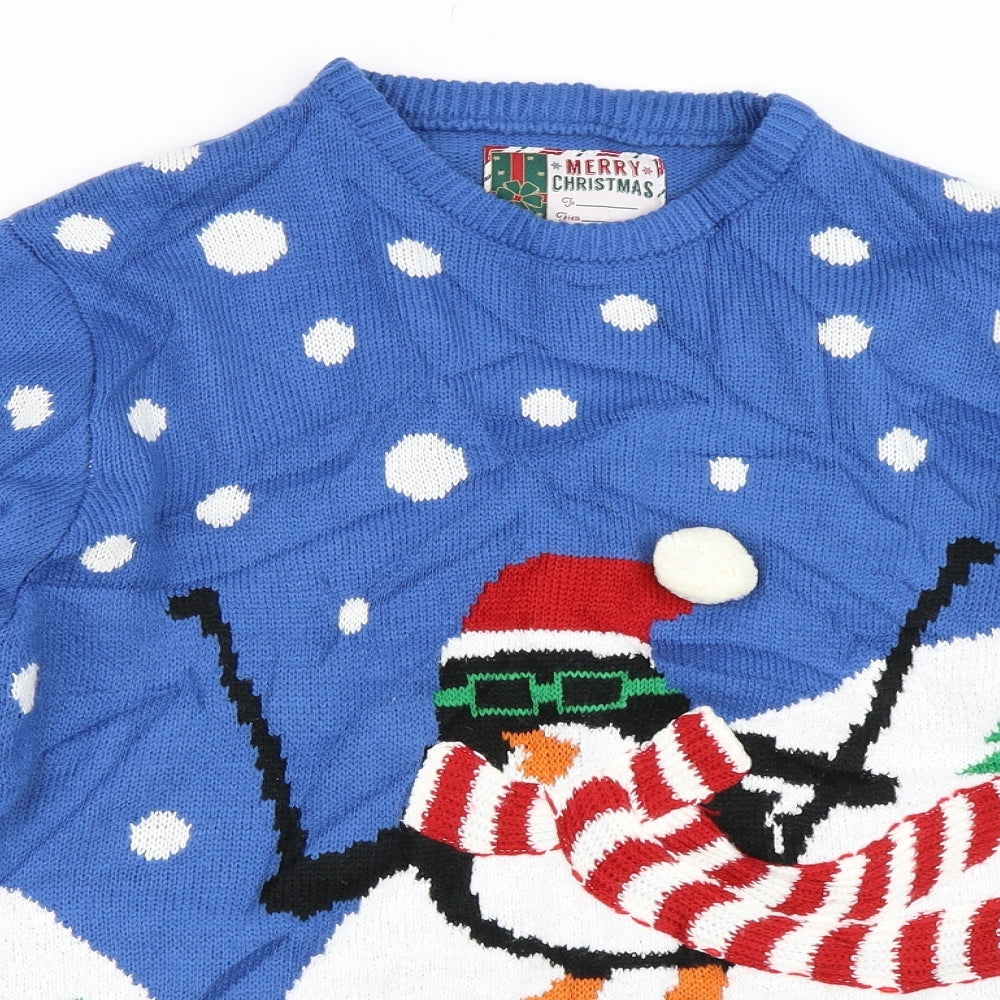 Cedar Wood State Mens Blue   Pullover Jumper Size M  - CHRISTMAS PENGUIN
