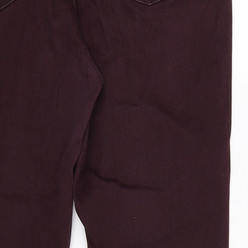 Preworn Womens Brown  Denim Straight Jeans Size 36 in L27 in