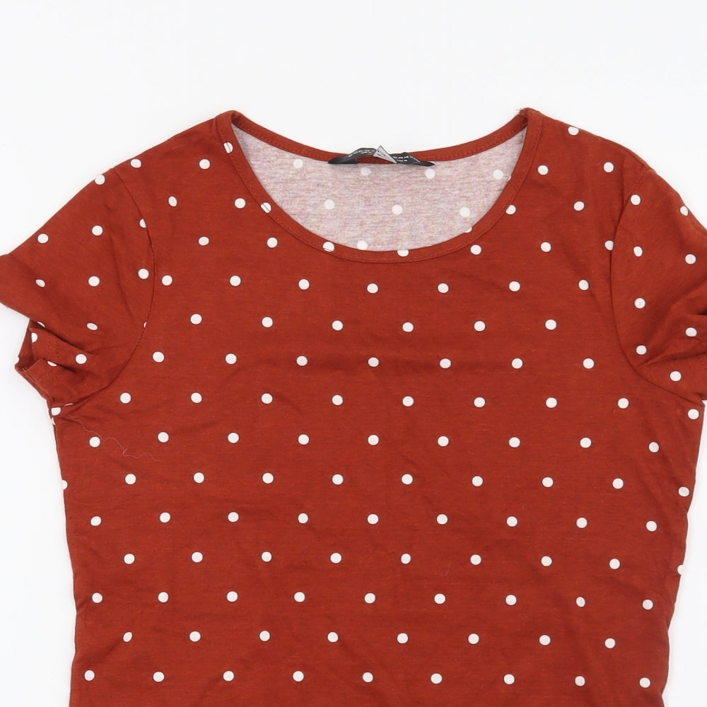 Dorothy Perkins Womens Brown Polka Dot  Basic T-Shirt Size 6