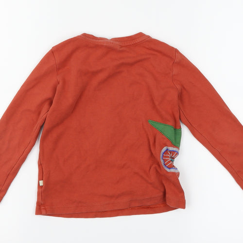 Frugi Boys Brown   Basic T-Shirt Size 5-6 Years  - dinosaur