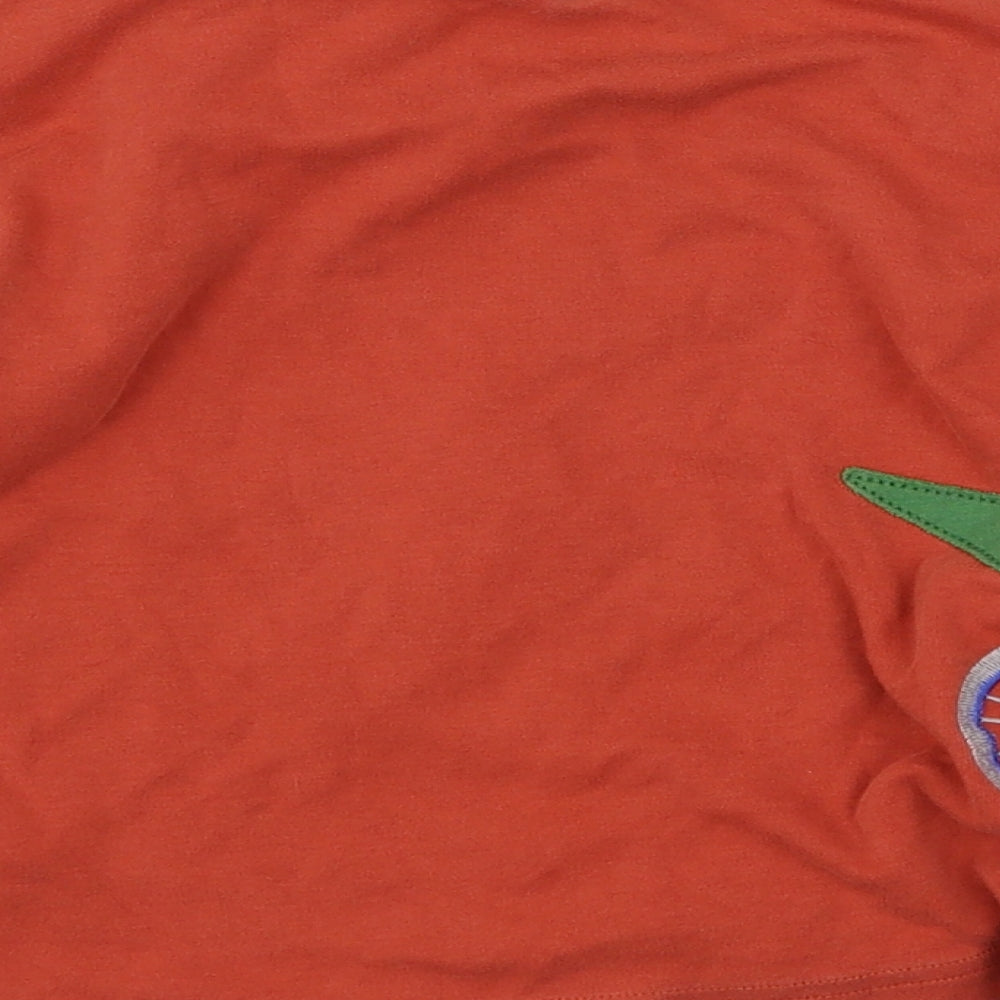 Frugi Boys Brown   Basic T-Shirt Size 5-6 Years  - dinosaur