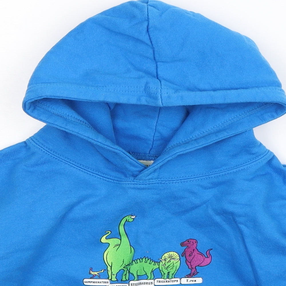 All We Do is Boys Blue   Pullover Hoodie Size 3-4 Years