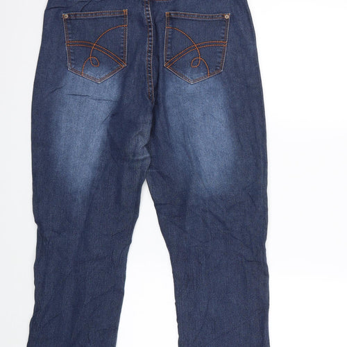 Janina Womens Blue  Denim Straight Jeans Size 12 L25 in
