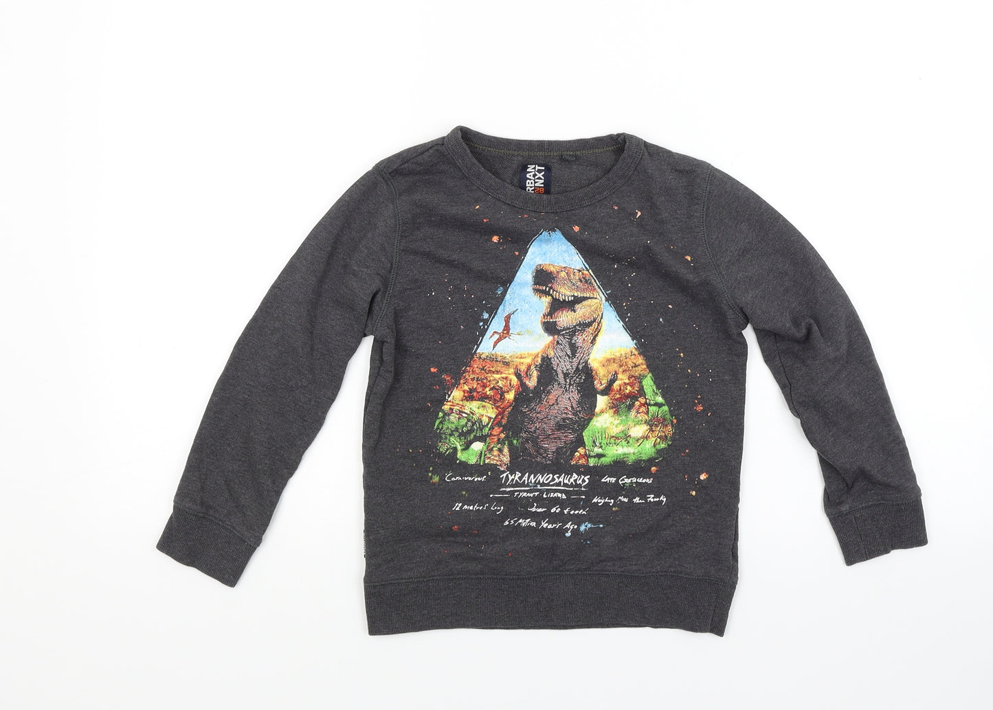 NEXT Boys Grey  Jacquard Pullover Sweatshirt Size 5-6 Years  - T Rex