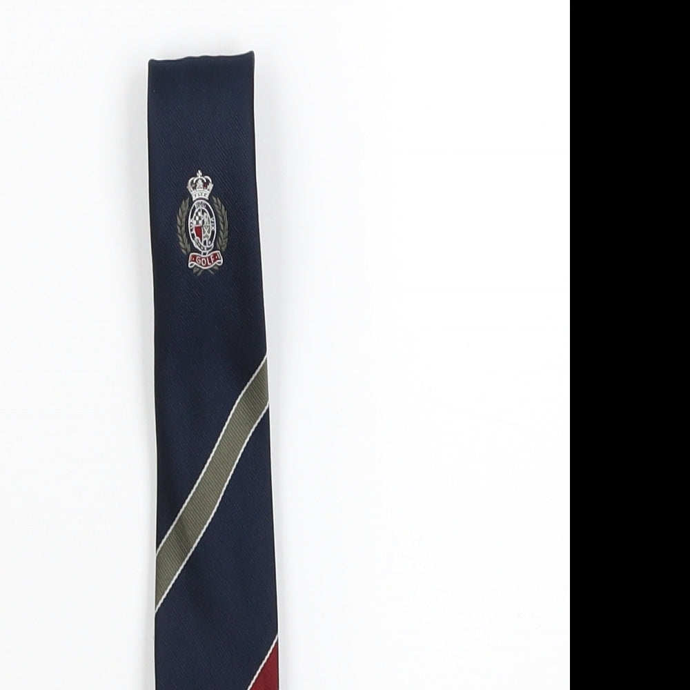 roberto Mens Blue Striped  Pointed Tie One Size