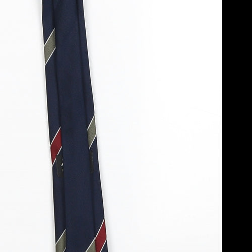 roberto Mens Blue Striped  Pointed Tie One Size