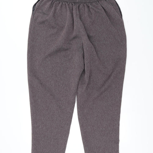 Preworn Womens Purple   Trousers  Size 22 L27 in