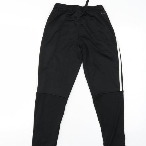 adidas Boys Black   Sweatpants Trousers Size 10-11 Years