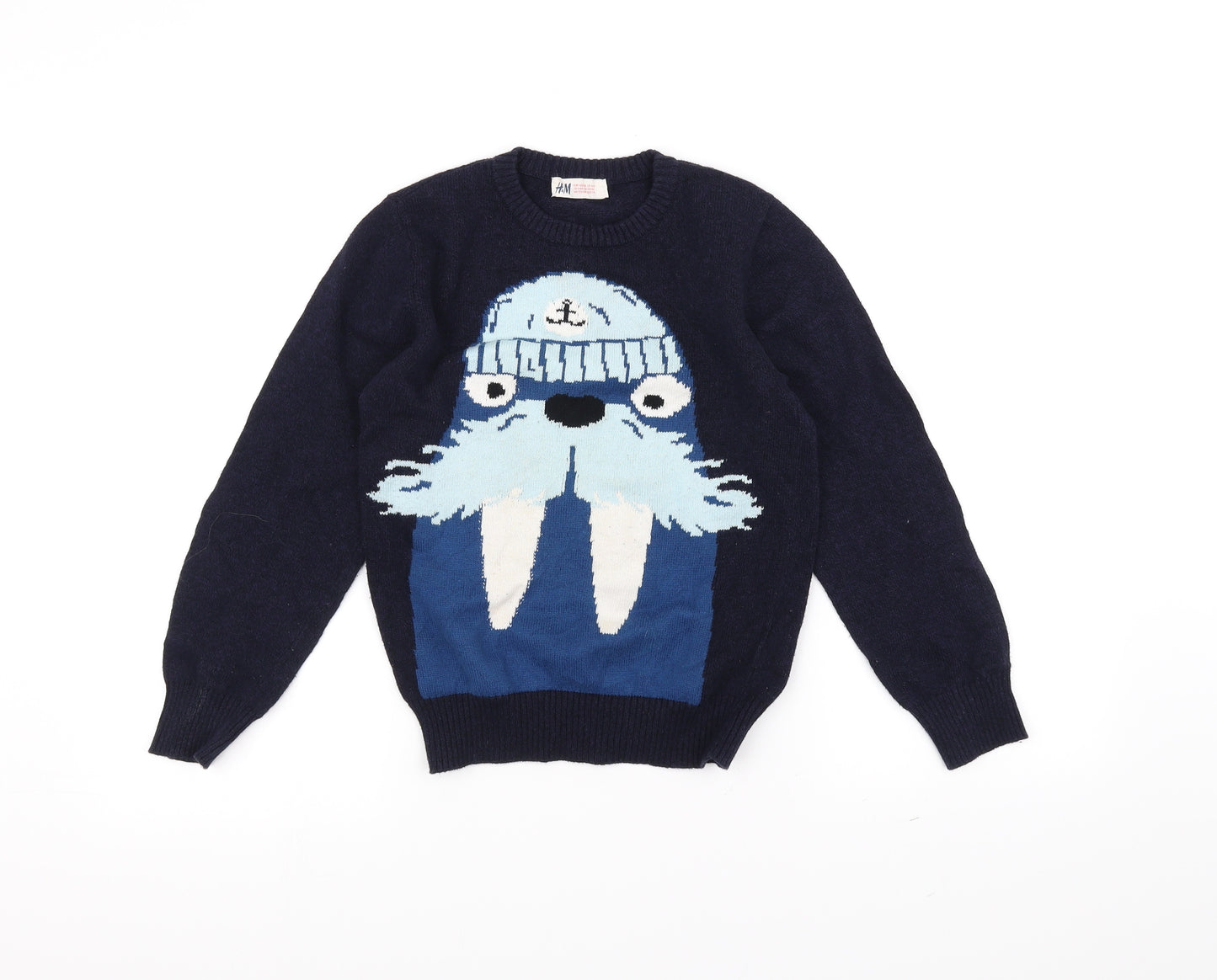 H&M Boys Blue  Knit Pullover Jumper Size 7-8 Years  - Seal