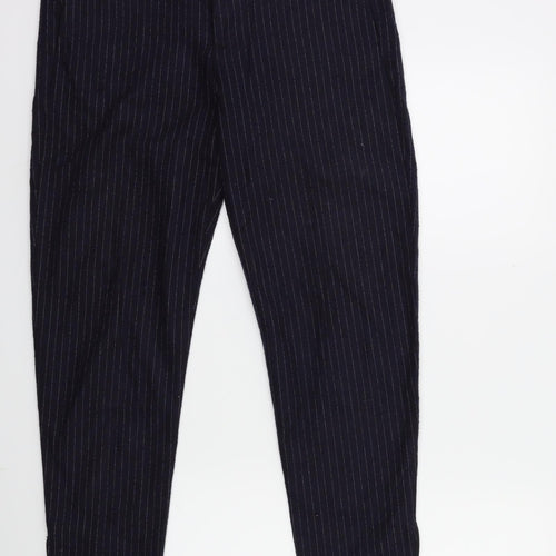 Preworn Mens Blue Striped  Trousers  Size 30 in L30 in