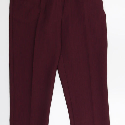 Special Collection Womens Purple   Dress Pants Trousers Size 14 L27 in