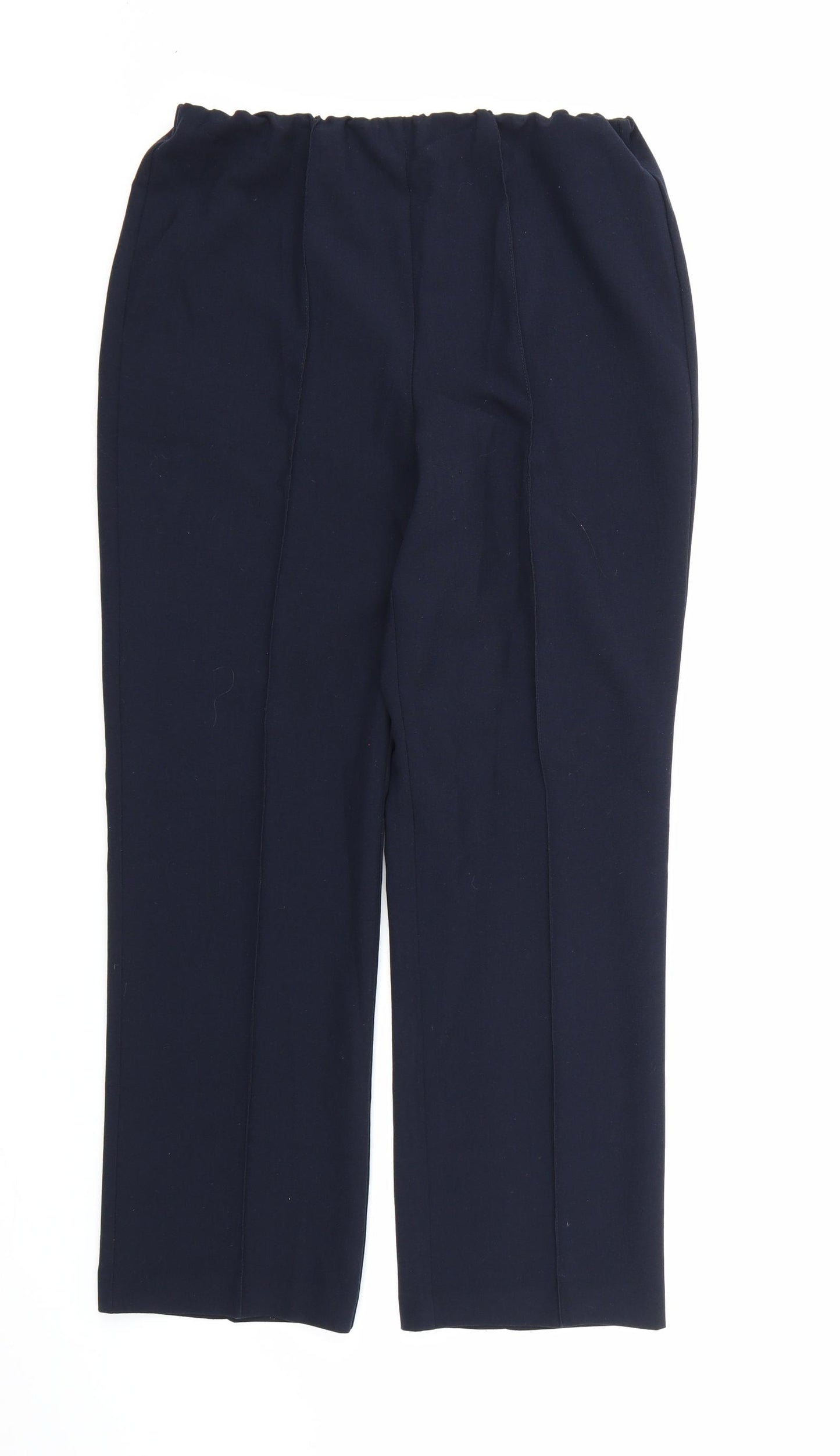 Preworn Womens Blue  Rayon Dress Pants Trousers Size 10 L27 in
