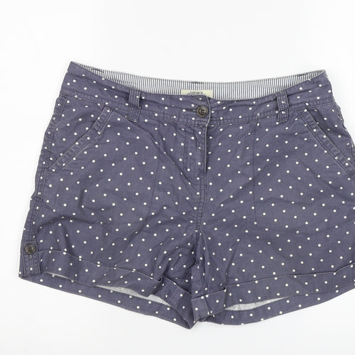 Papaya Womens Blue Polka Dot  Cut-Off Shorts Size 10