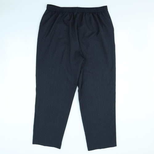 Classic Womens Blue Striped  Dress Pants Trousers Size 18 L30 in