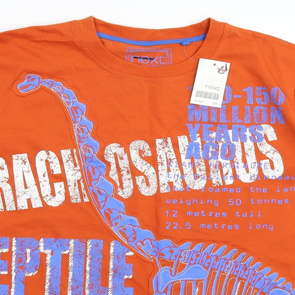 NEXT Boys Brown   Basic T-Shirt Size 13-14 Years