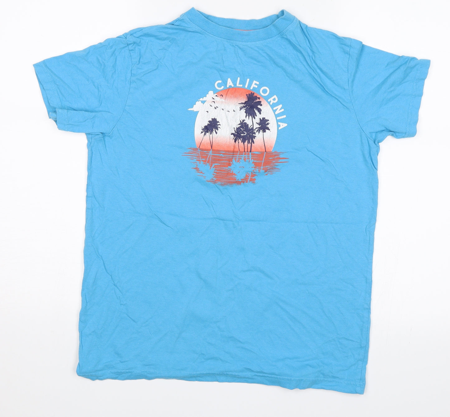 Primark Boys Blue   Basic T-Shirt Size 13-14 Years  - California