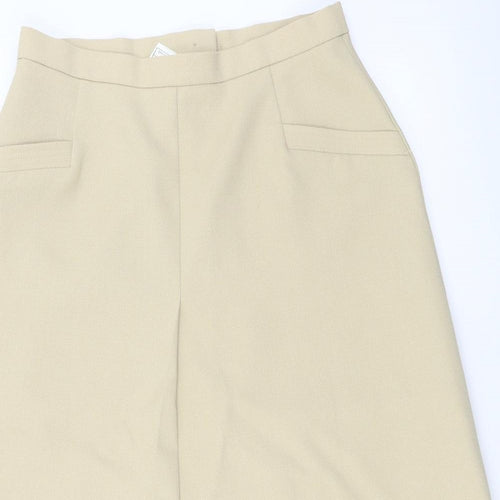 Preworn  Womens Beige   A-Line Skirt Size XL