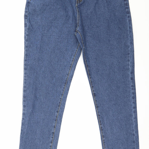 Preworn Womens Blue  Denim Skinny Jeans Size XL L28 in