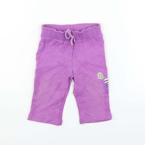 bc baby Girls Purple   Jogger Trousers Size 6-9 Months