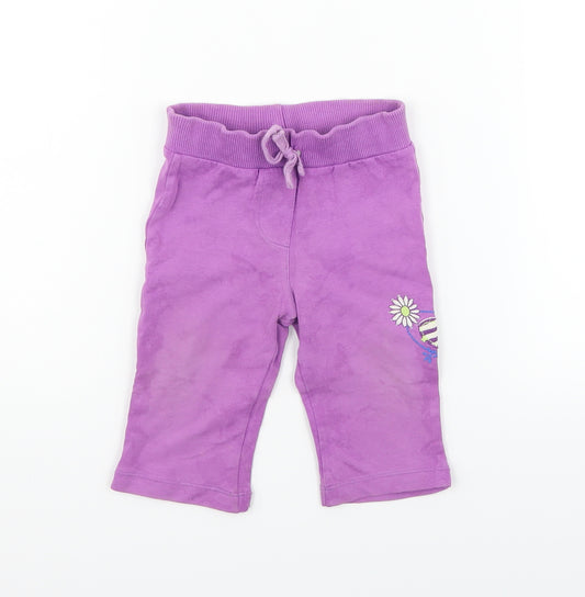 Front view of bc baby girls’ purple jogger trousers, size 6-9, months