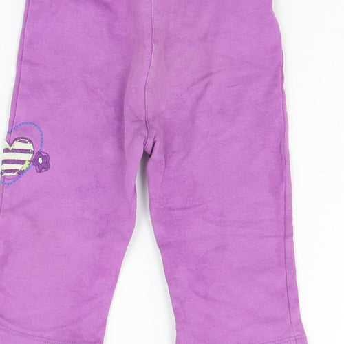 bc baby Girls Purple   Jogger Trousers Size 6-9 Months