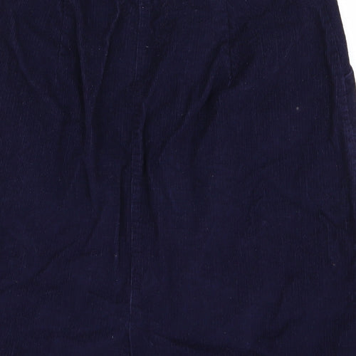 bib co Womens Blue   Straight & Pencil Set Size 28