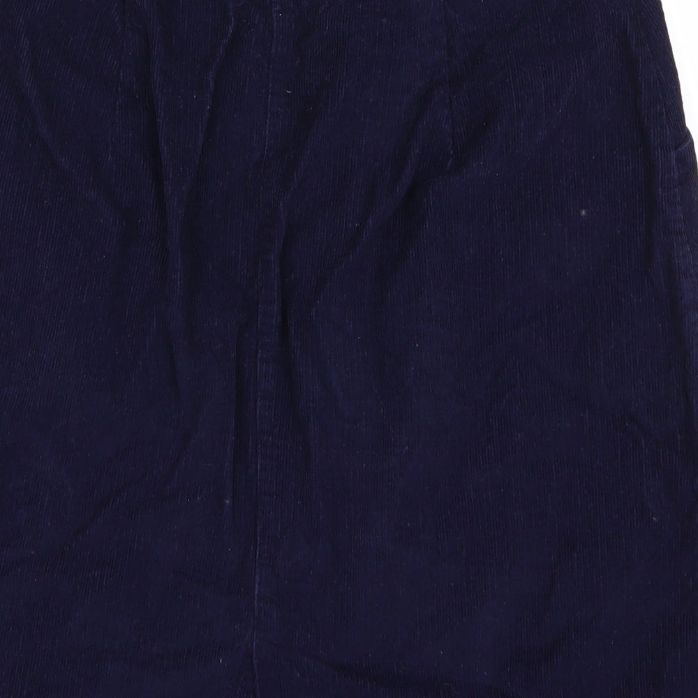 bib co Womens Blue   Straight & Pencil Set Size 28
