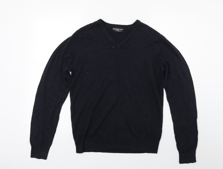 Ceader wood state Mens Blue Knit Pullover Jumper Size M