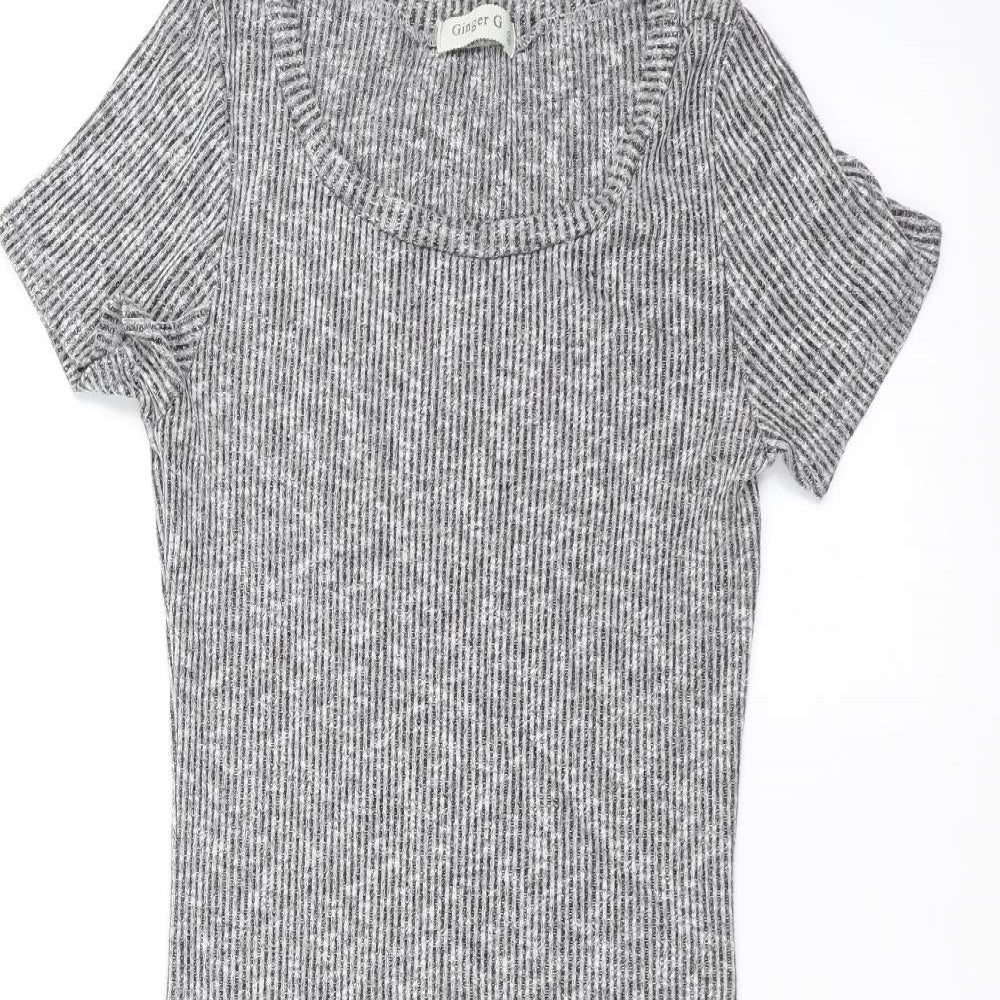 ginger  Womens Grey   A-Line  Size S