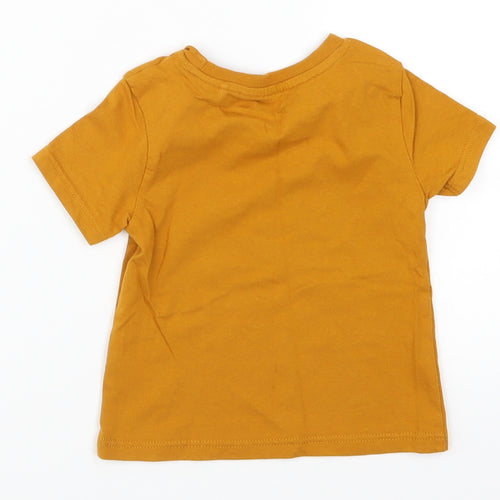 River Island Boys Brown   Basic T-Shirt Size 9-12 Months  - Legend