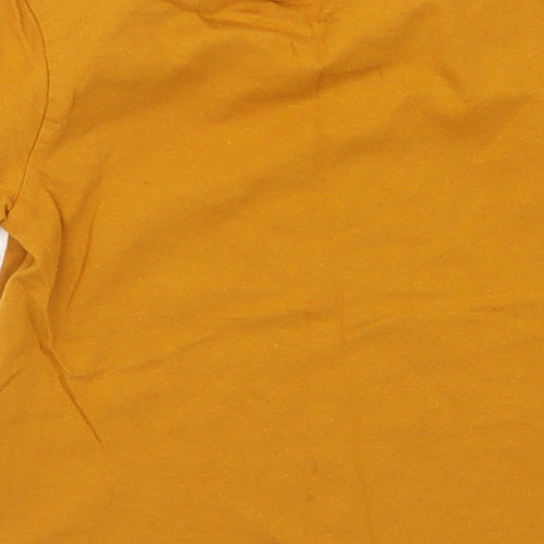 River Island Boys Brown   Basic T-Shirt Size 9-12 Months  - Legend
