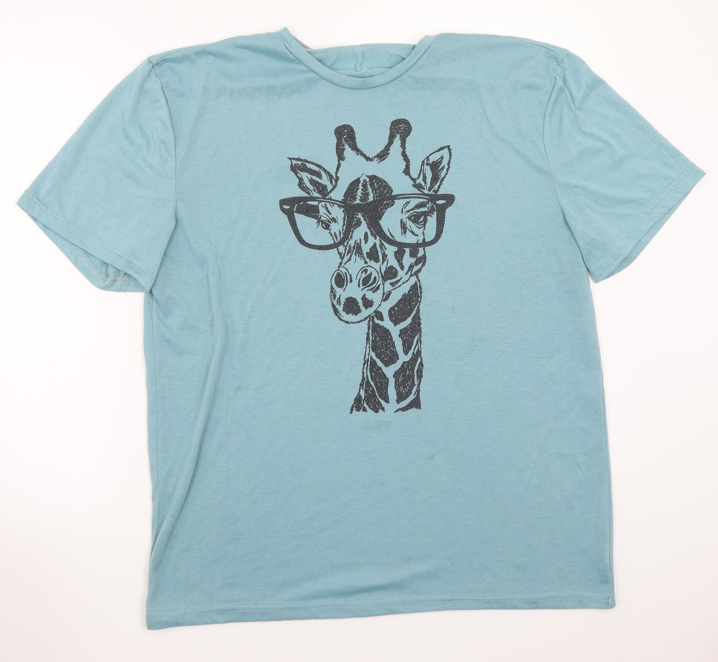 Preworn Womens Green   Basic T-Shirt Size XL