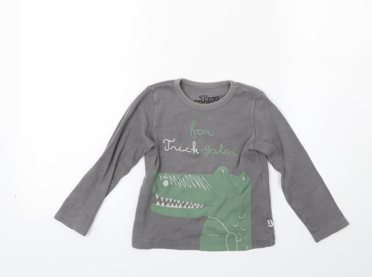 Front view of Trick nick boys’ grey pullover sweatshirt, size 4, years - crocodile
