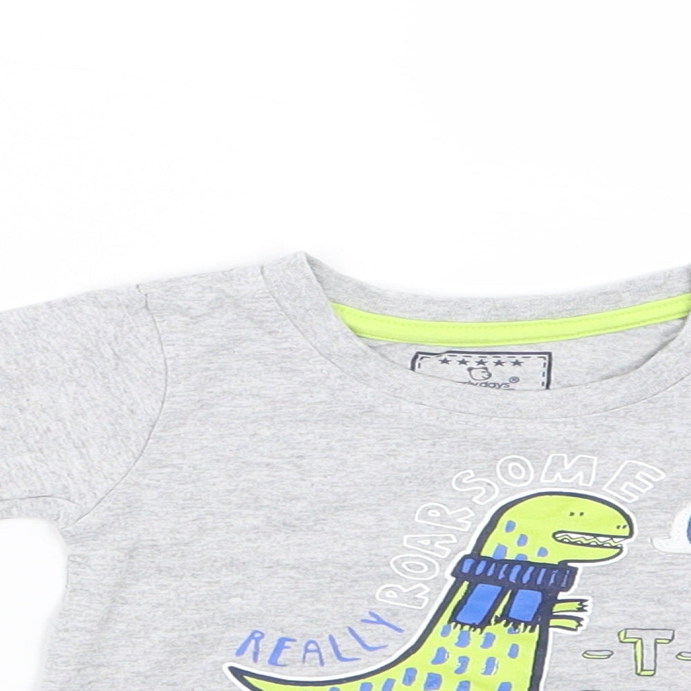 Earlydays Boys Grey   Basic T-Shirt Size 3-6 Months  - T-Rex