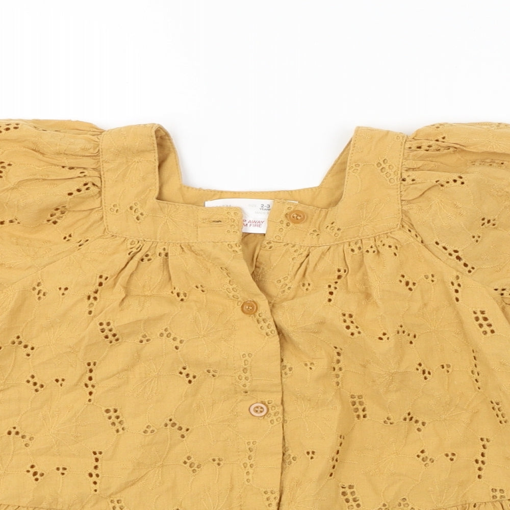 Zara  Girls Brown   A-Line  Size 2-3 Years