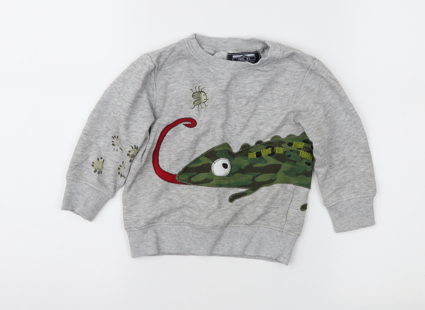 NEXT Boys Grey   Pullover Casual Size 12-18 Months