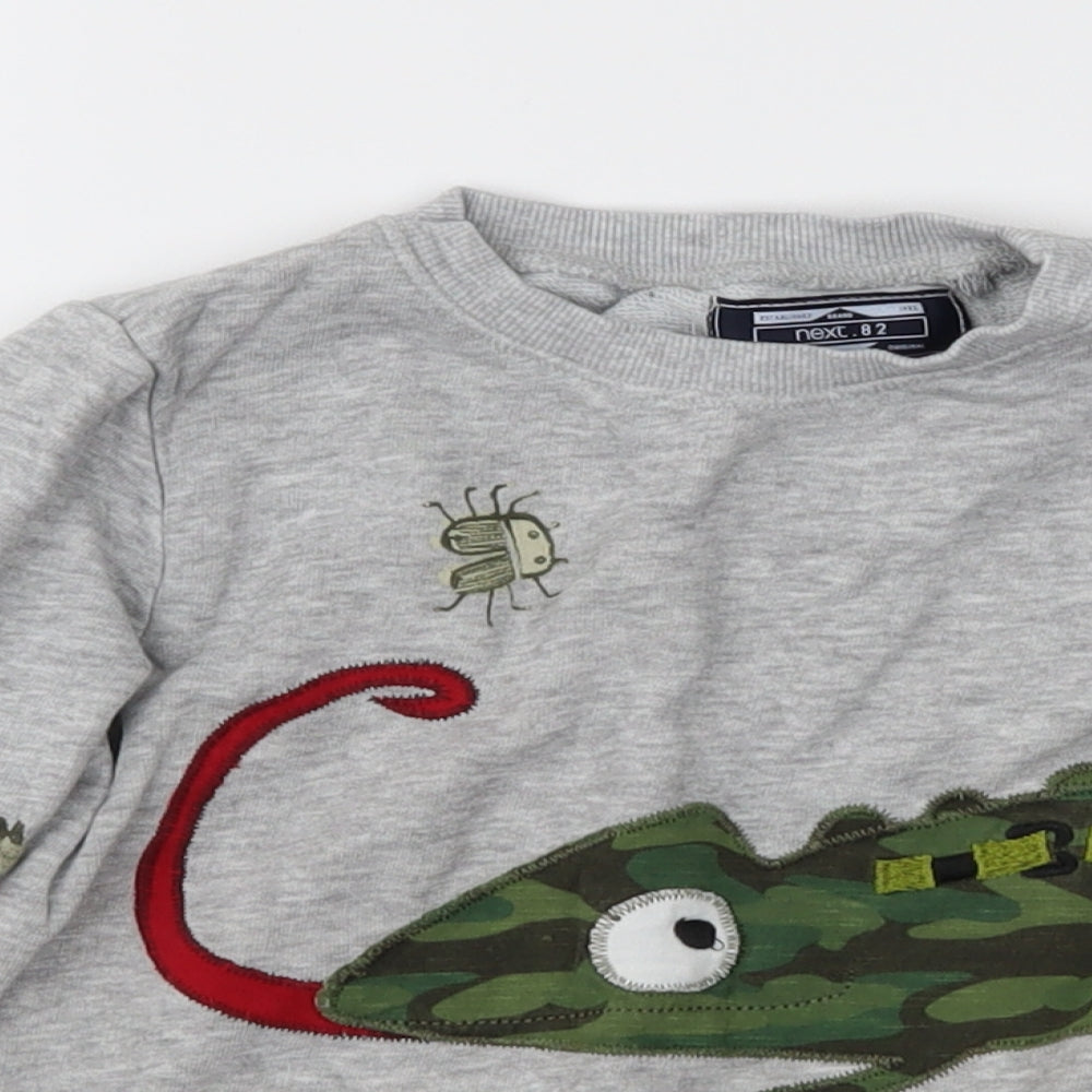 NEXT Boys Grey   Pullover Casual Size 12-18 Months