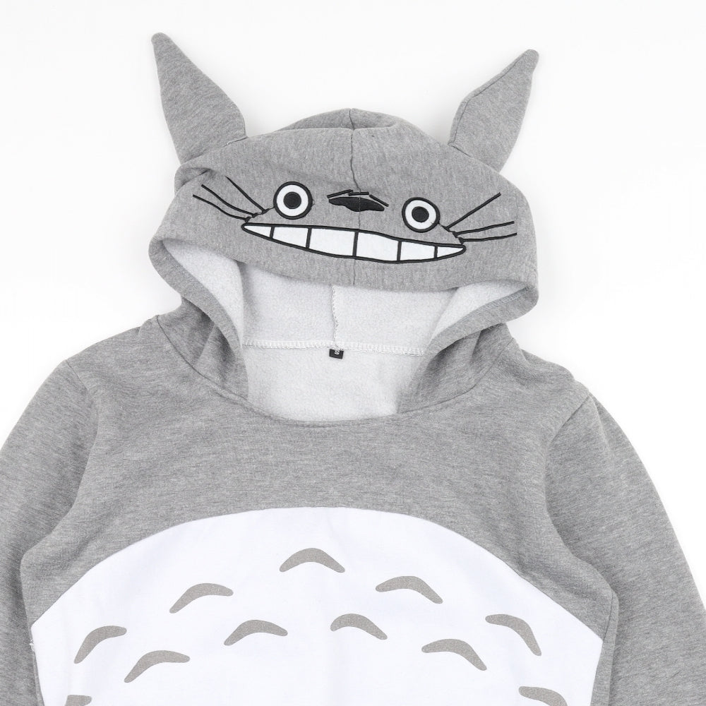 Preworn Mens Grey   Pullover Hoodie Size S