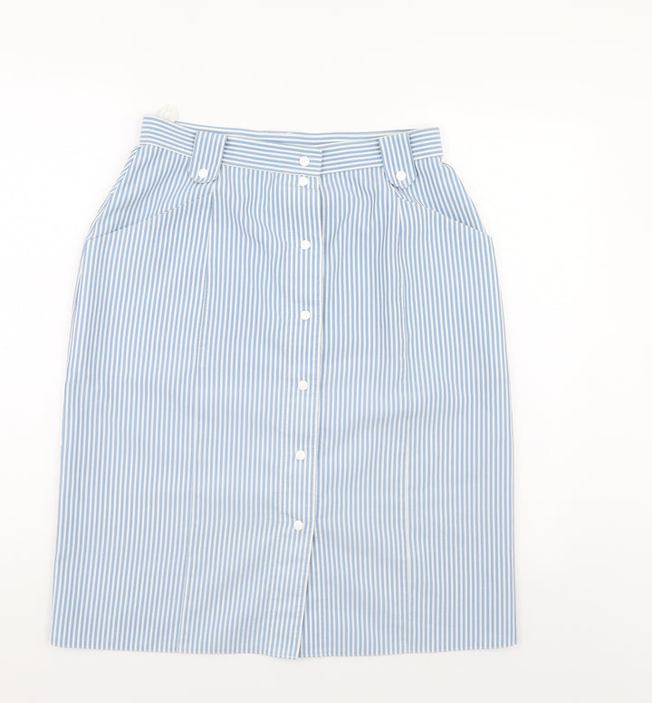 Preworn Womens Blue Striped A-Line Skirt Size 30 in