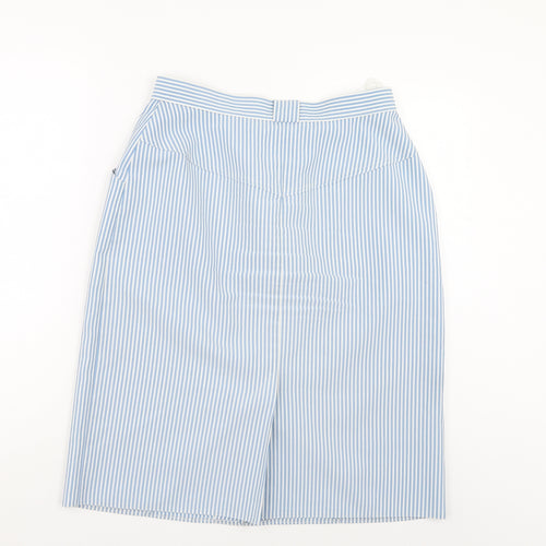 Preworn Womens Blue Striped  A-Line Skirt Size 30 in