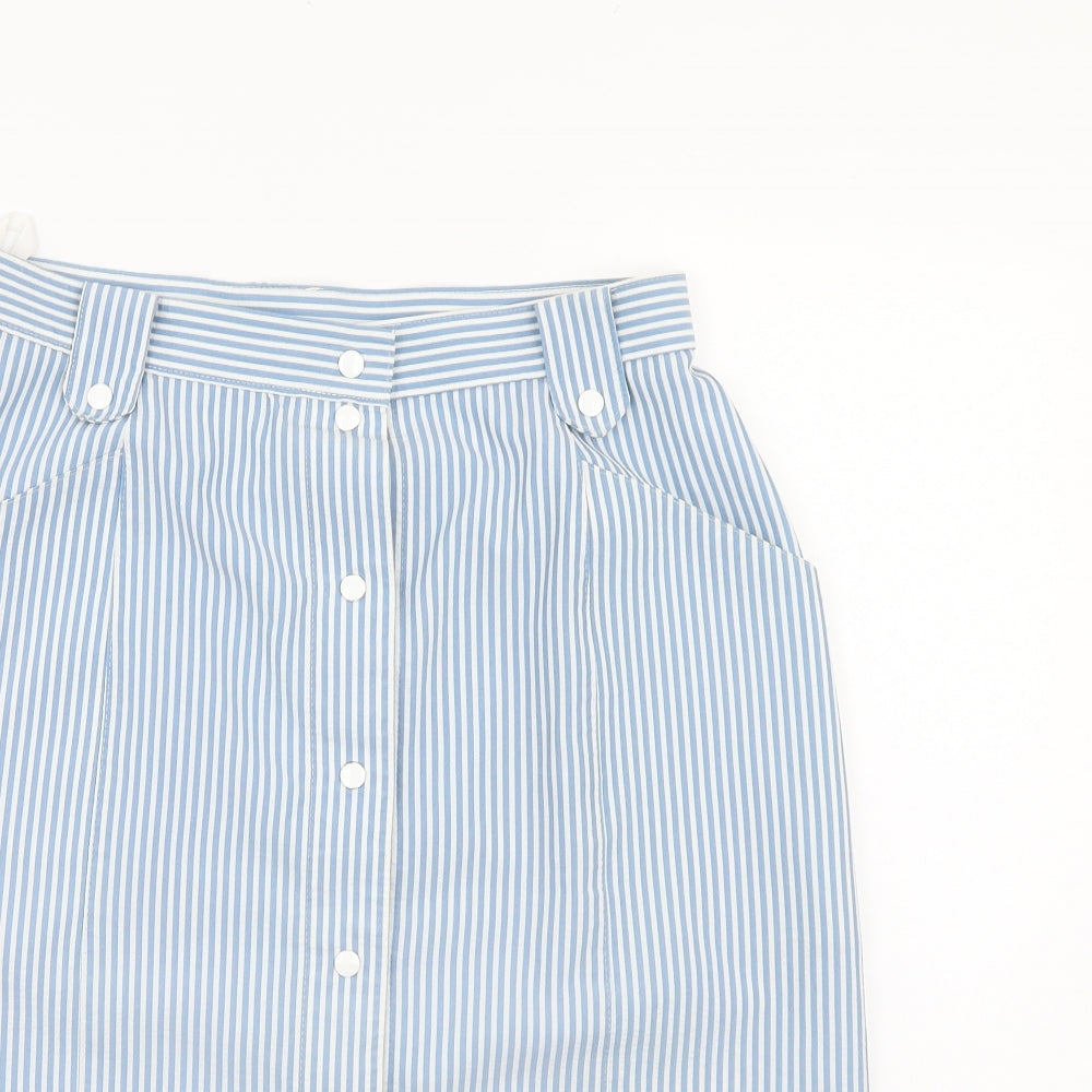 Preworn Womens Blue Striped  A-Line Skirt Size 30 in